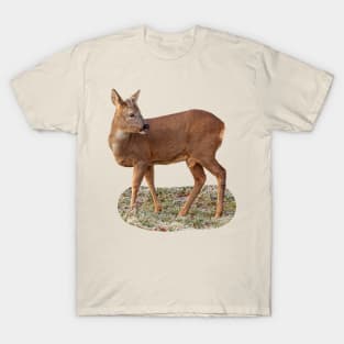 Roe Deer T-Shirt